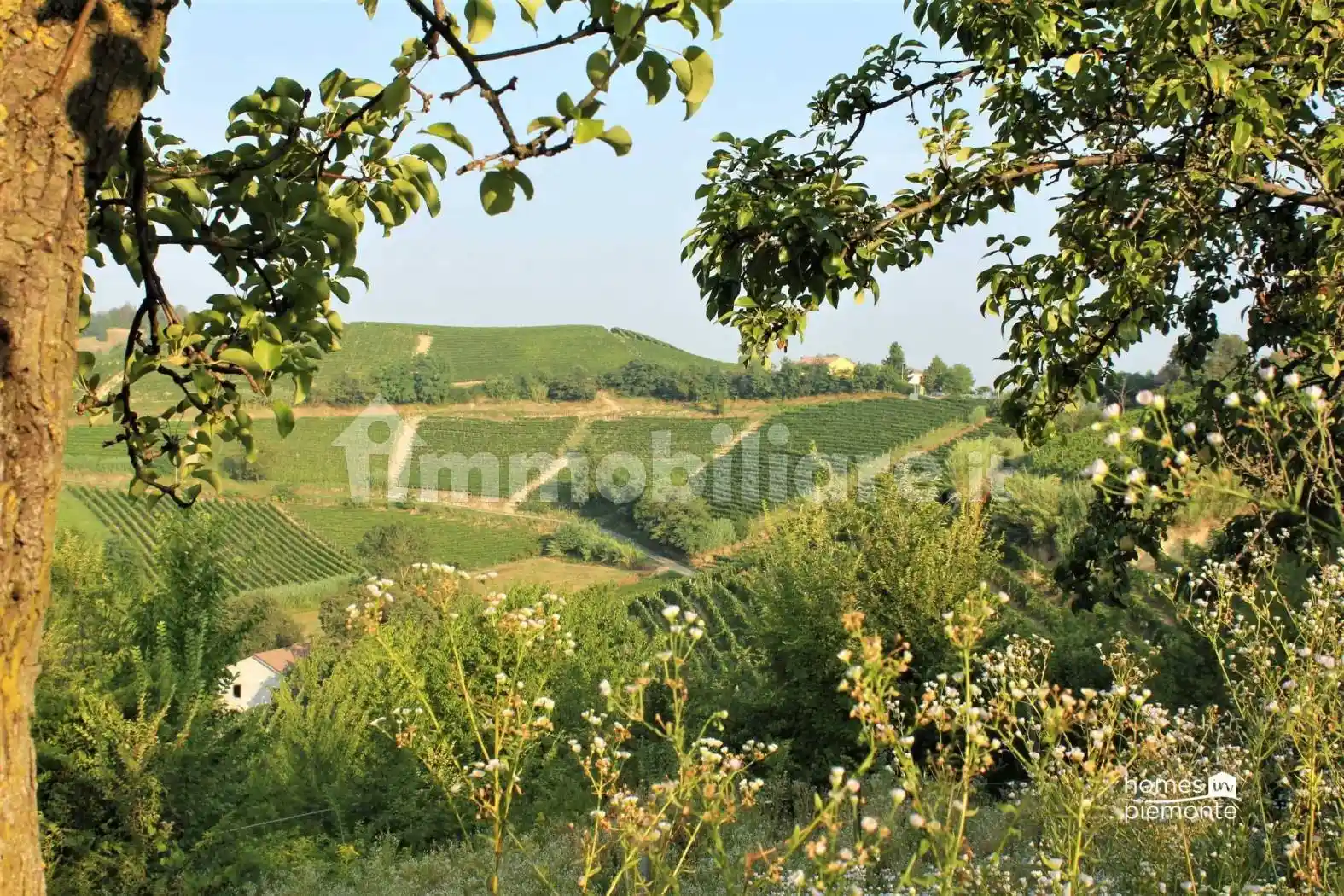 Rustico - Casale in vendita a Vinchio