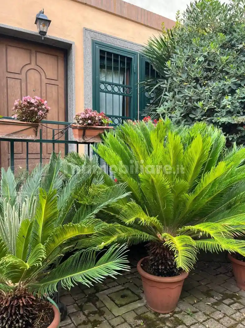 Villetta a schiera in vendita a Roma