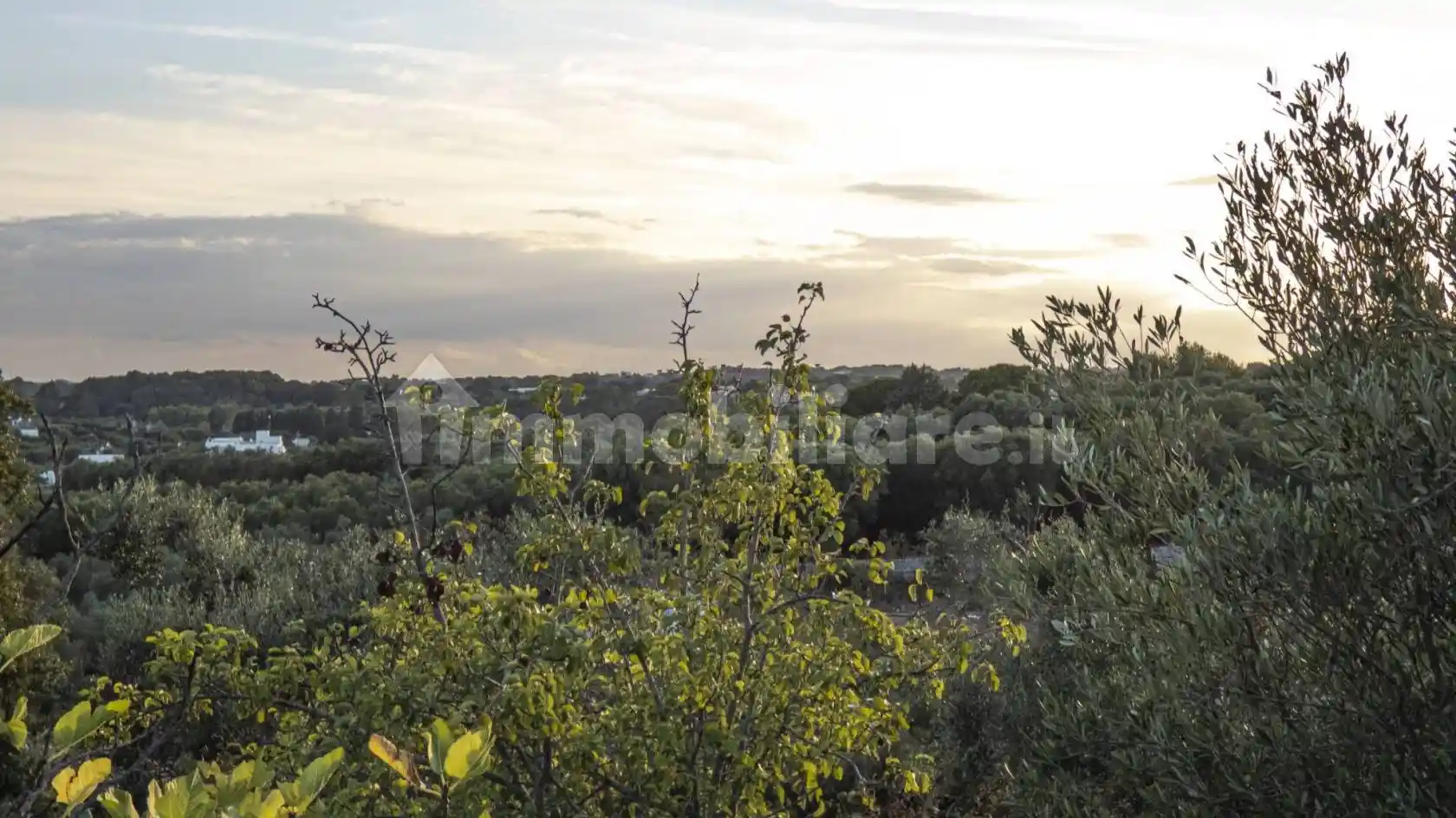 Villa in vendita a Ostuni