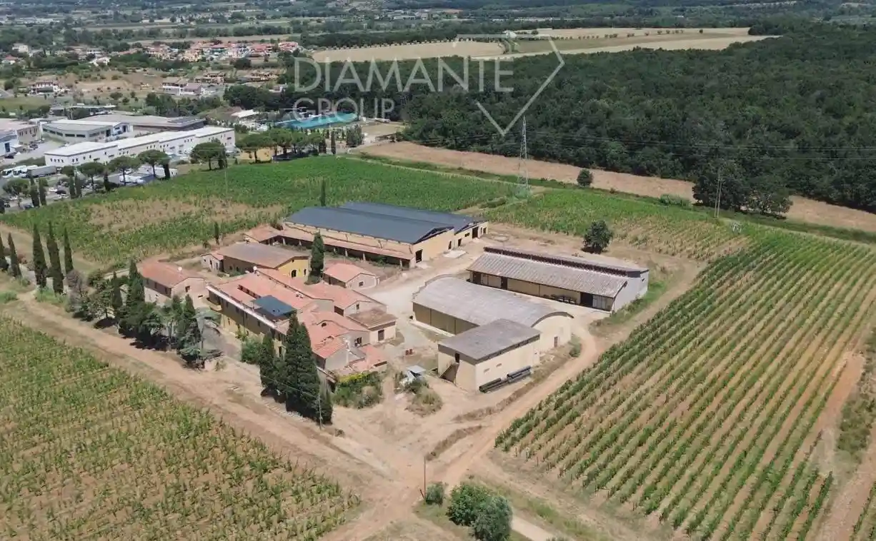 Rustico - Casale in vendita a Montescudaio