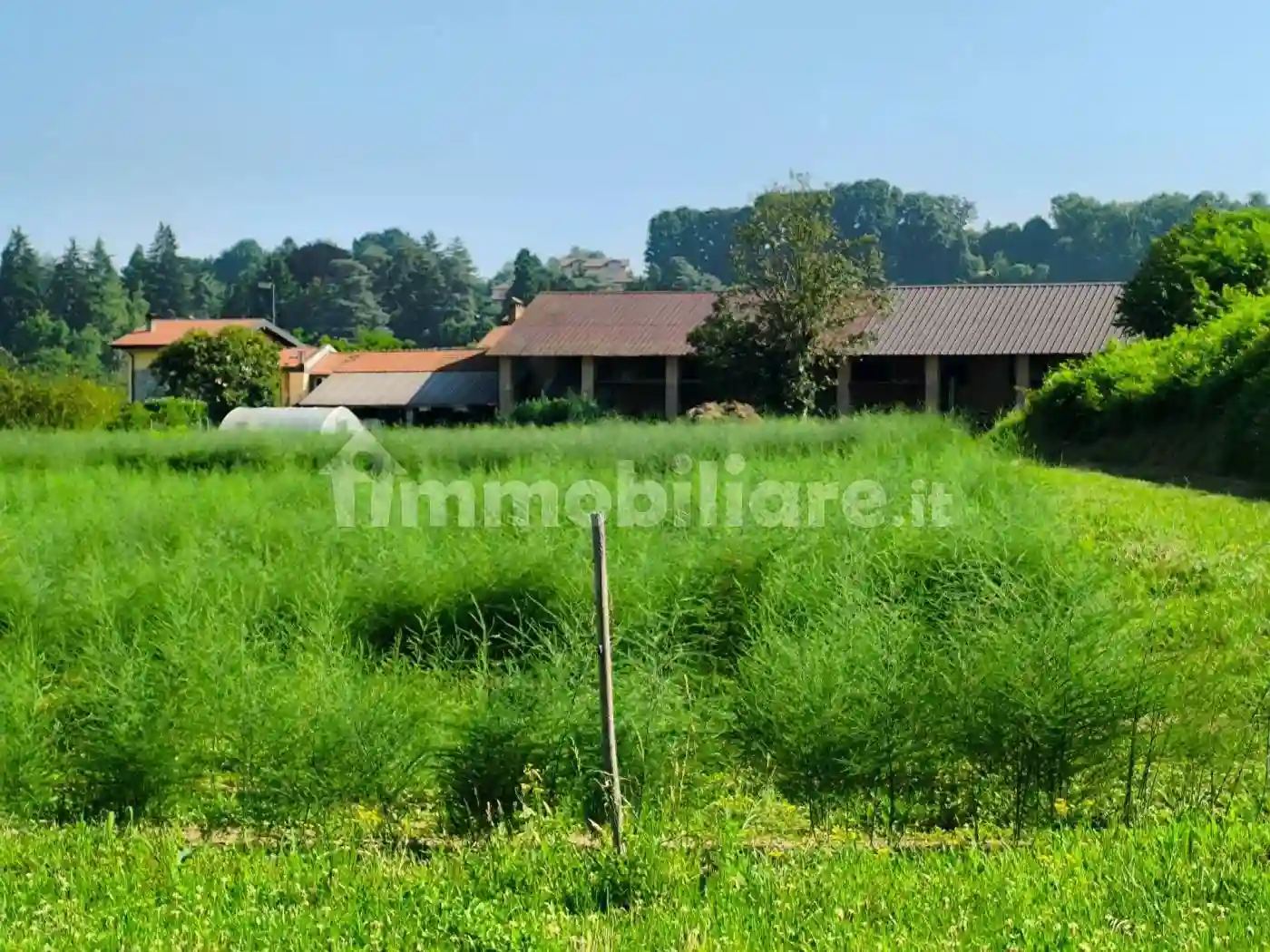 Rustico - Casale - foto 3