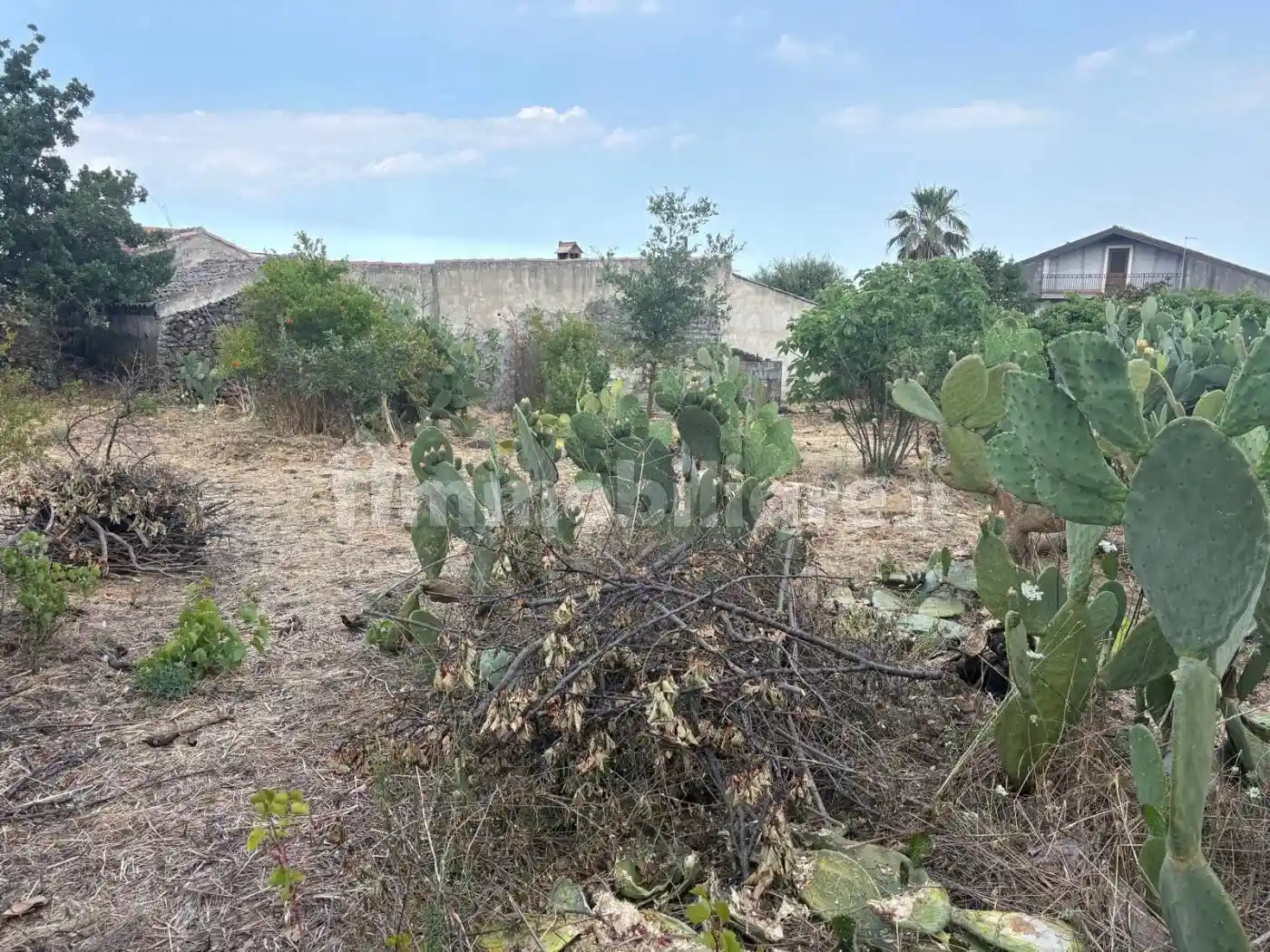 Rustico - Casale in vendita a Pedara