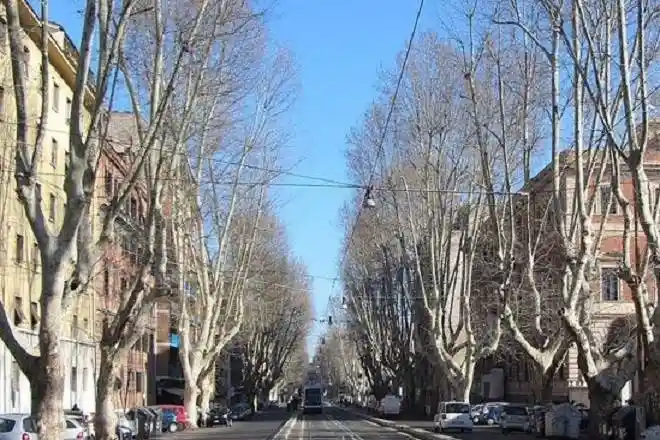 Appartamento in affitto a Roma