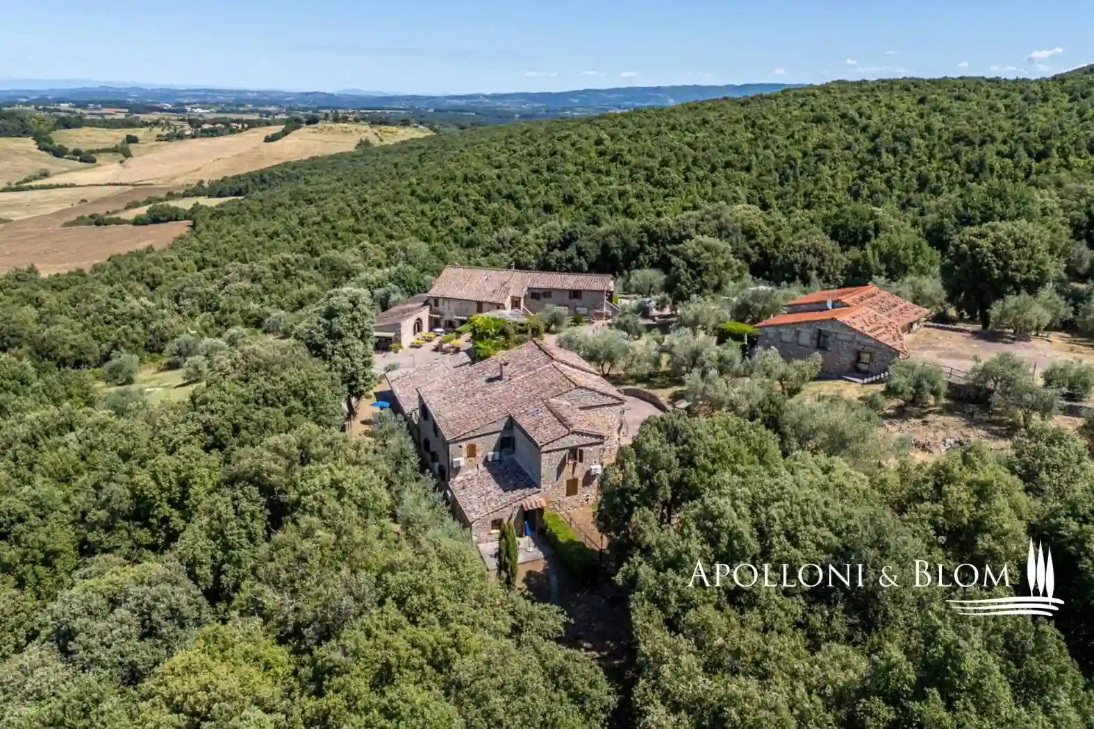 Rustico - Casale - foto 4