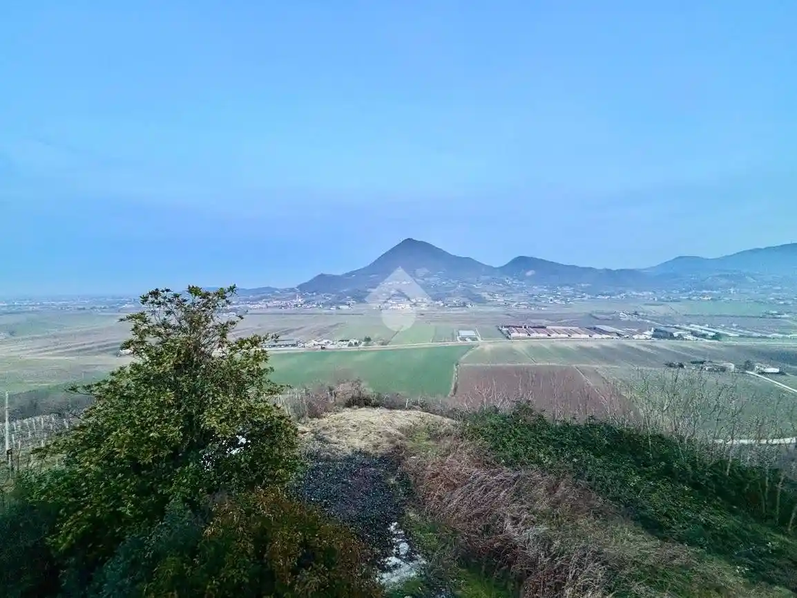 Villa in affitto a Albettone