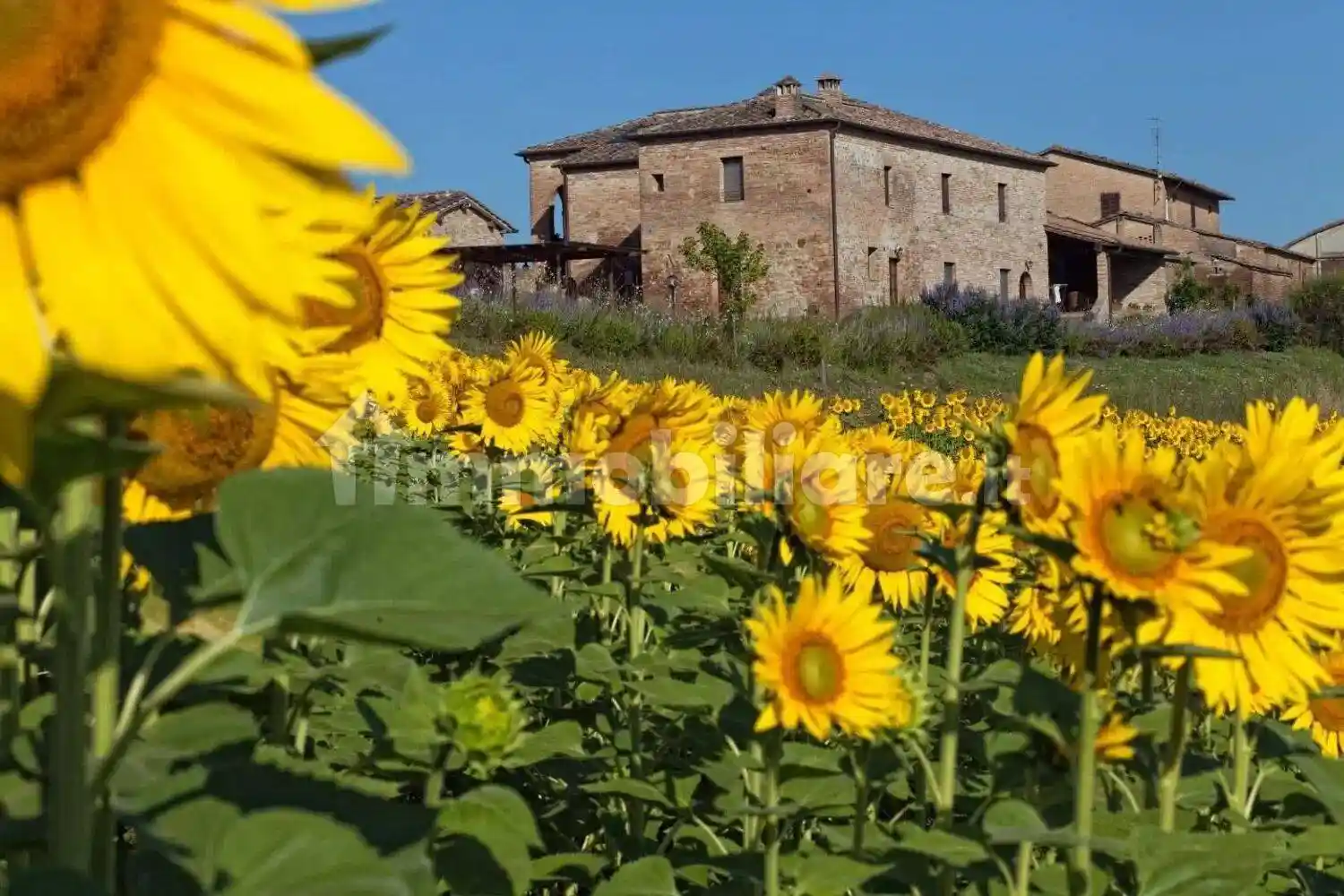 Rustico - Casale in vendita a Monteroni d'Arbia
