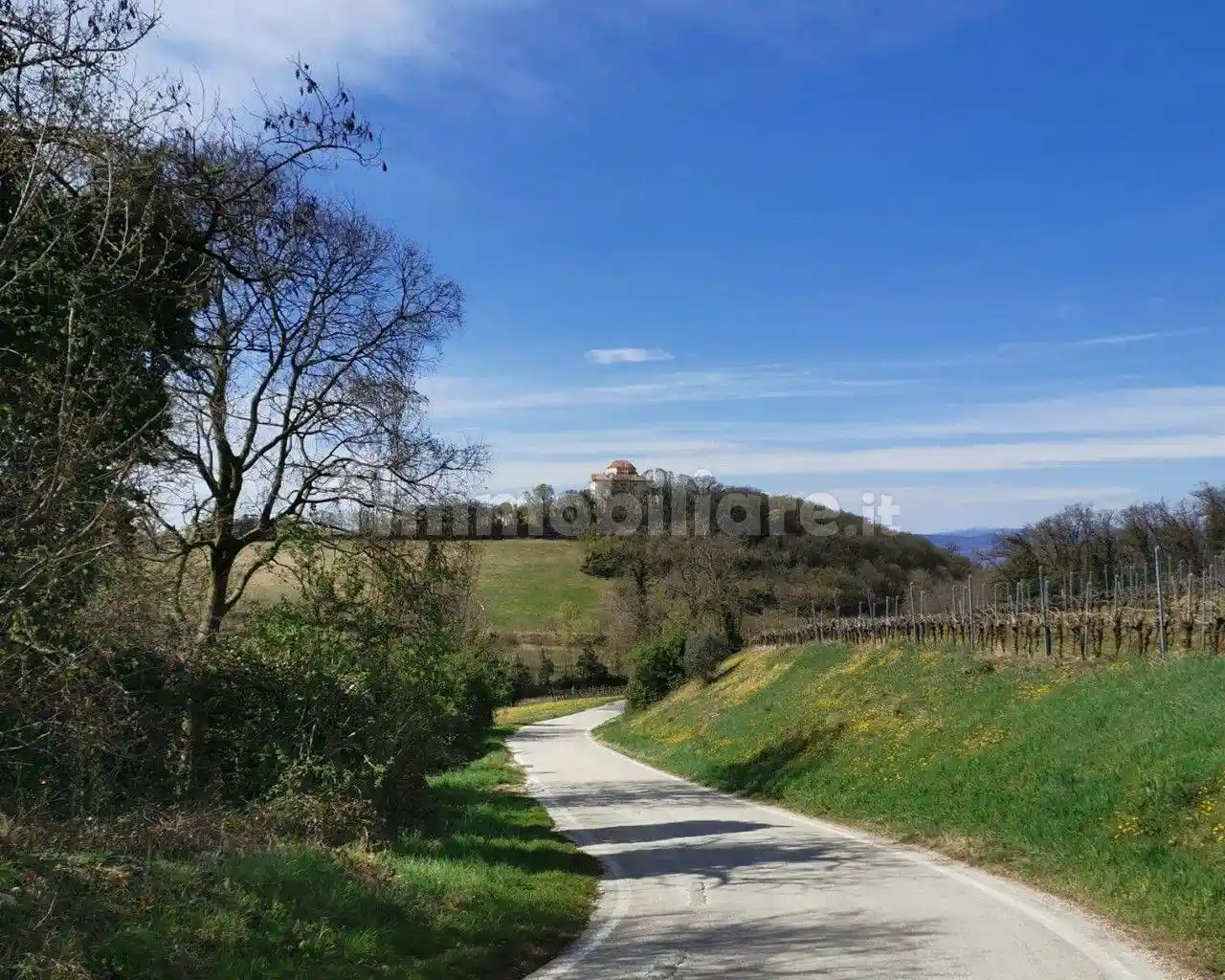 Villa in vendita a Lonigo