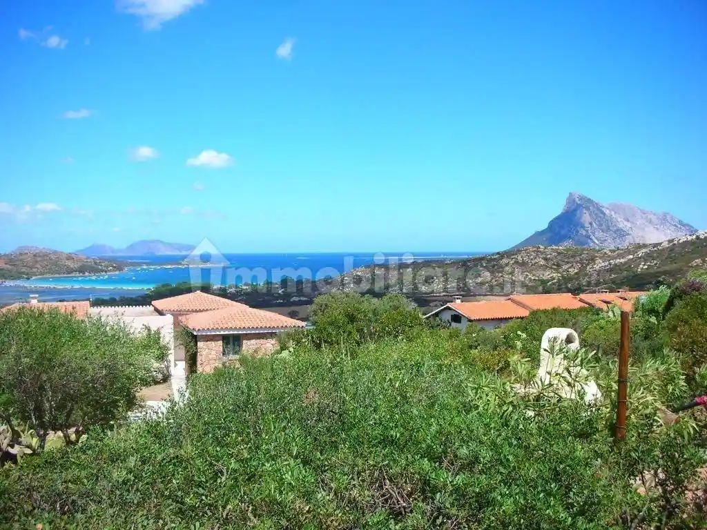 Villetta a schiera in affitto a Loiri Porto San Paolo