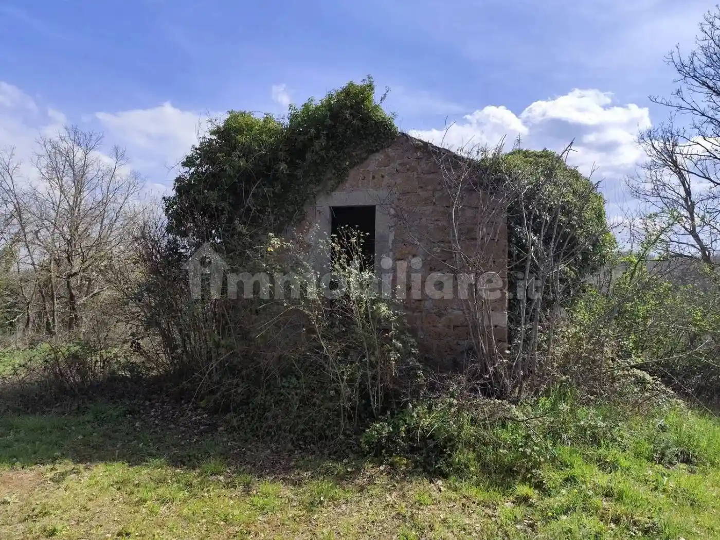 Rustico - Casale in vendita a Vitorchiano