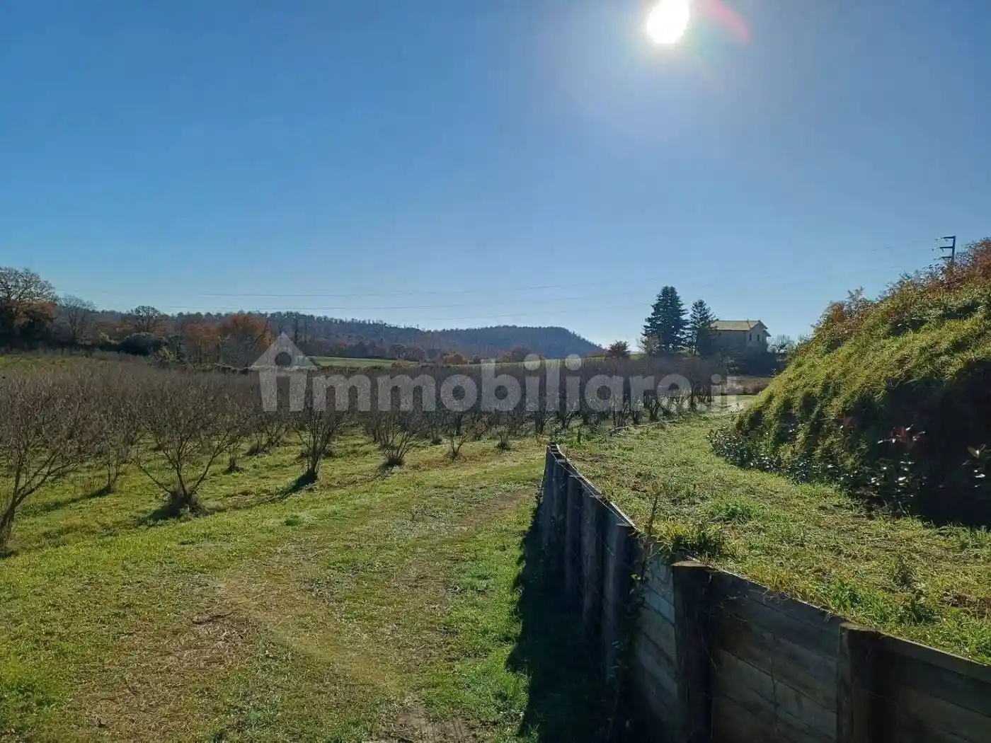 Villa in vendita a San Lorenzo Nuovo