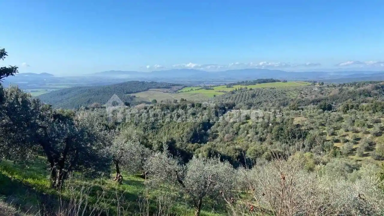 Rustico - Casale in vendita a Roccastrada