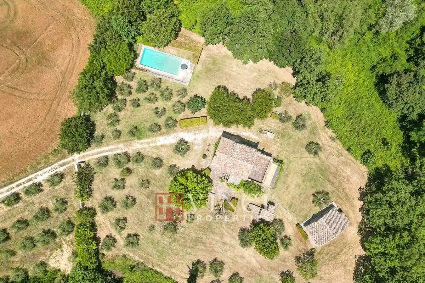Rustico - Casale - foto 3