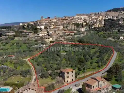 Rustico - Casale in vendita a Cortona
