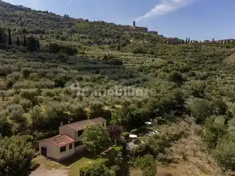 Villa in vendita a Cortona