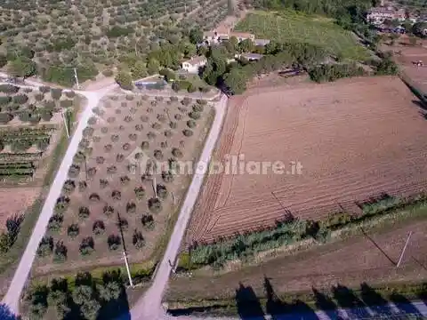 Rustico - Casale in vendita a Cortona