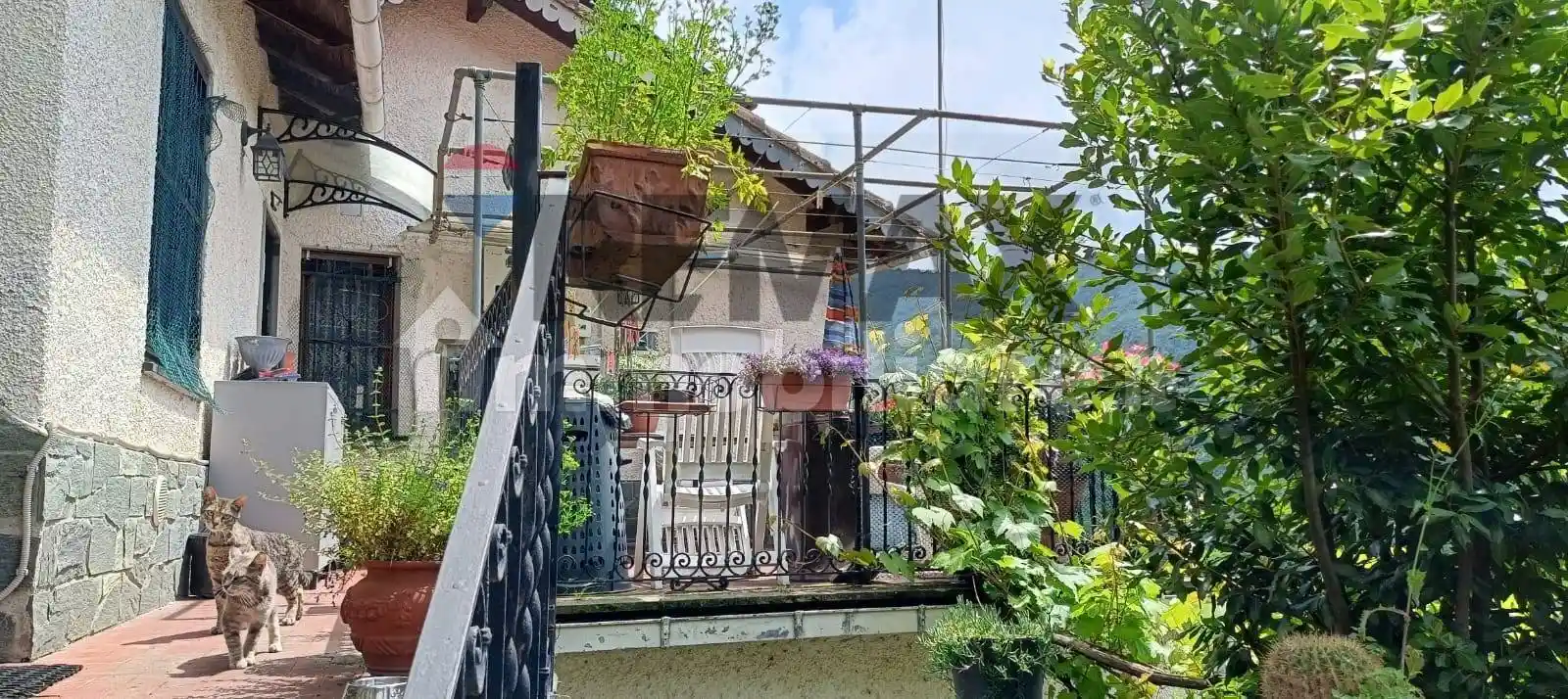 Casa indipendente in vendita a Davagna