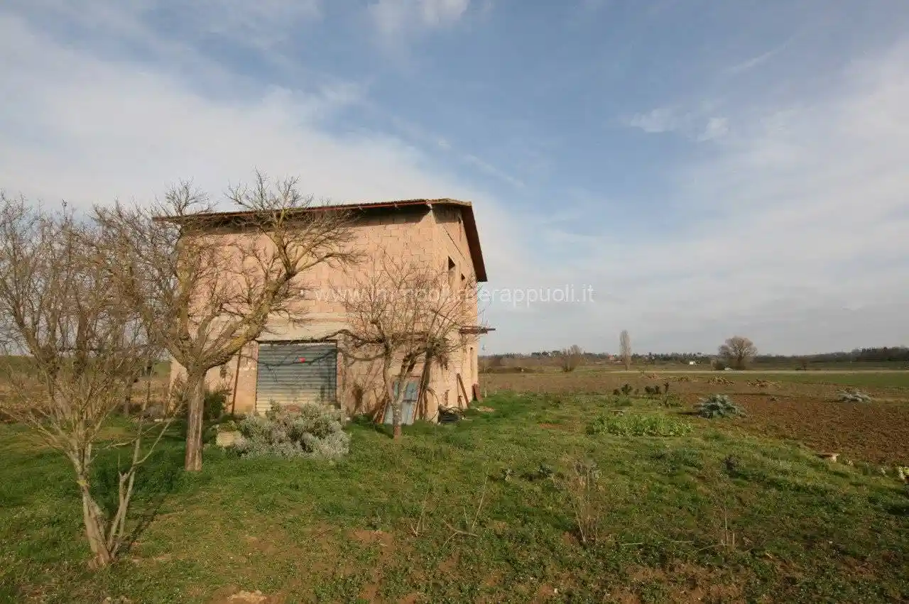 Rustico - Casale in vendita a Sinalunga