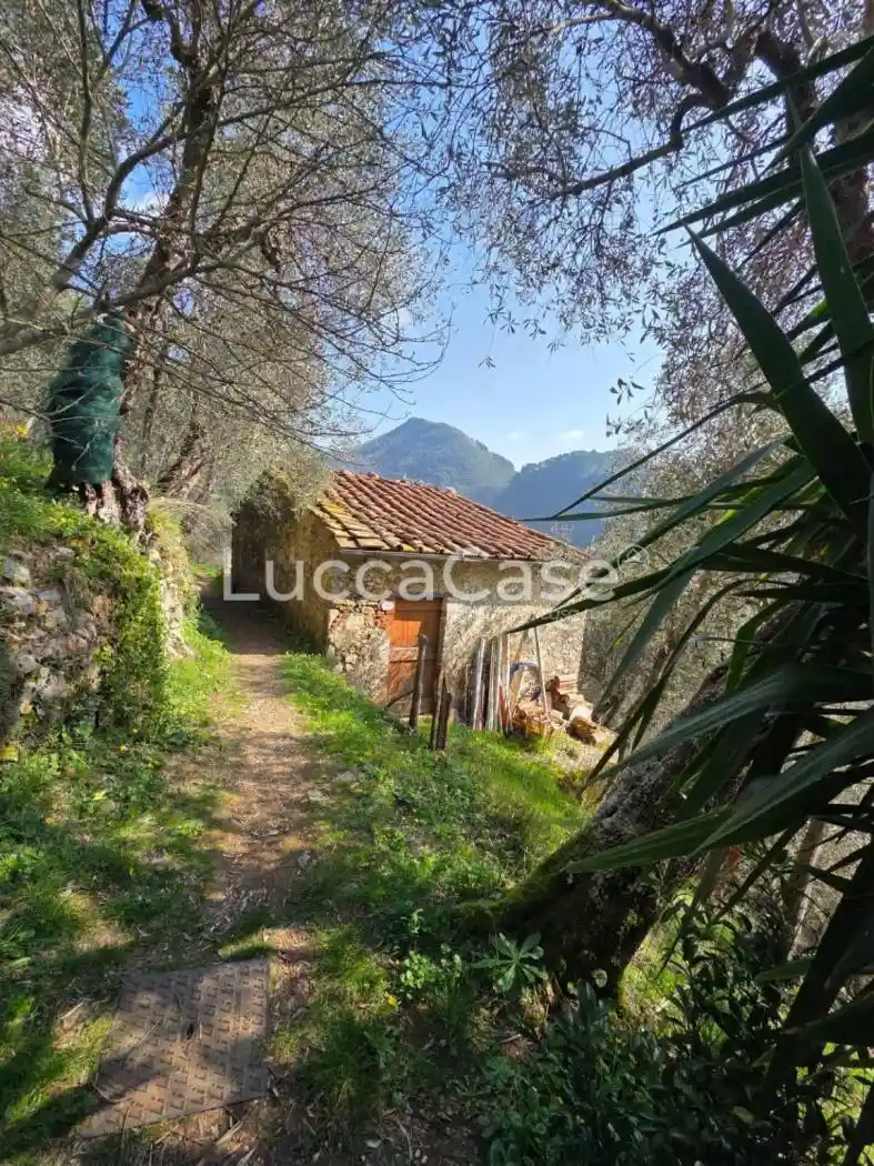 Rustico - Casale in vendita a Camaiore