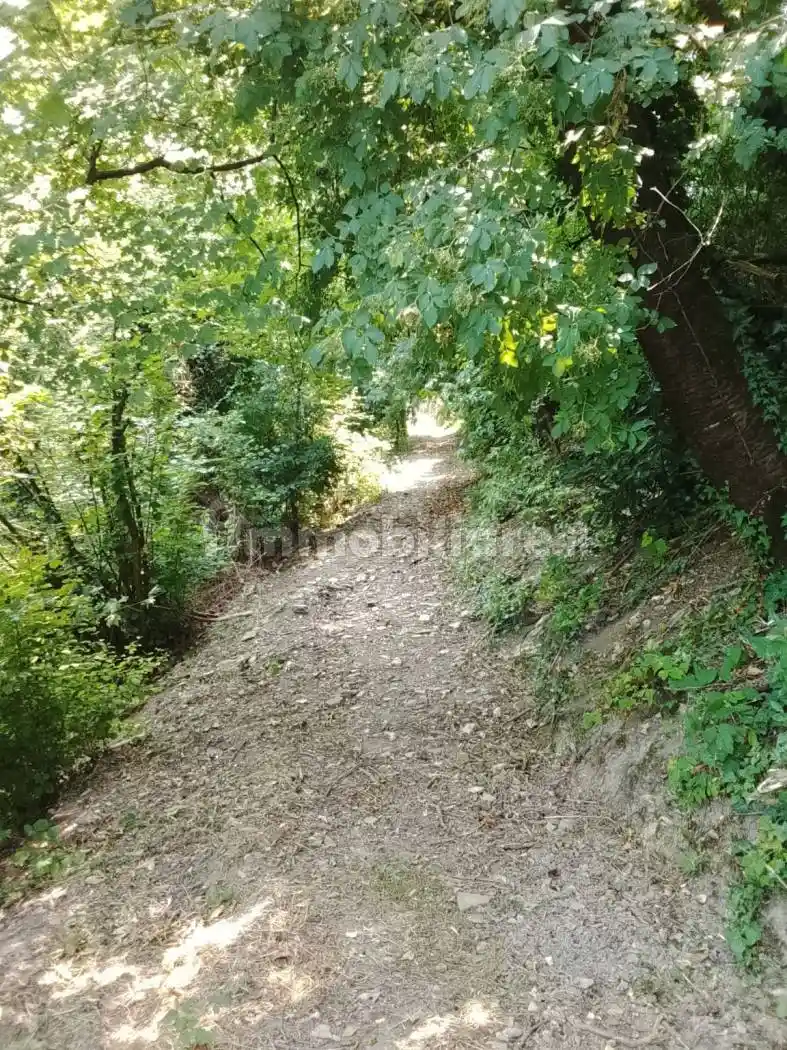 Rustico - Casale in vendita a Grumello del Monte