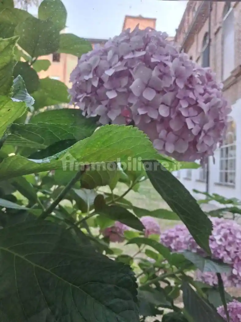 Appartamento in affitto a Todi