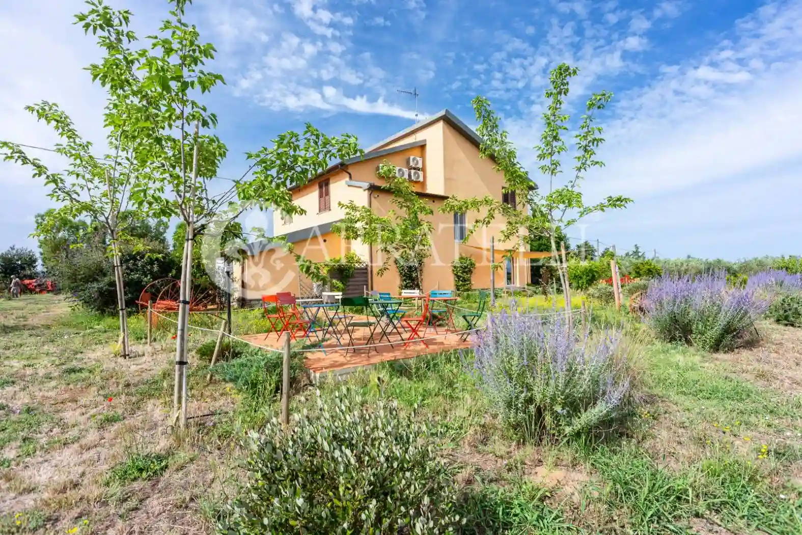Rustico - Casale - foto 5