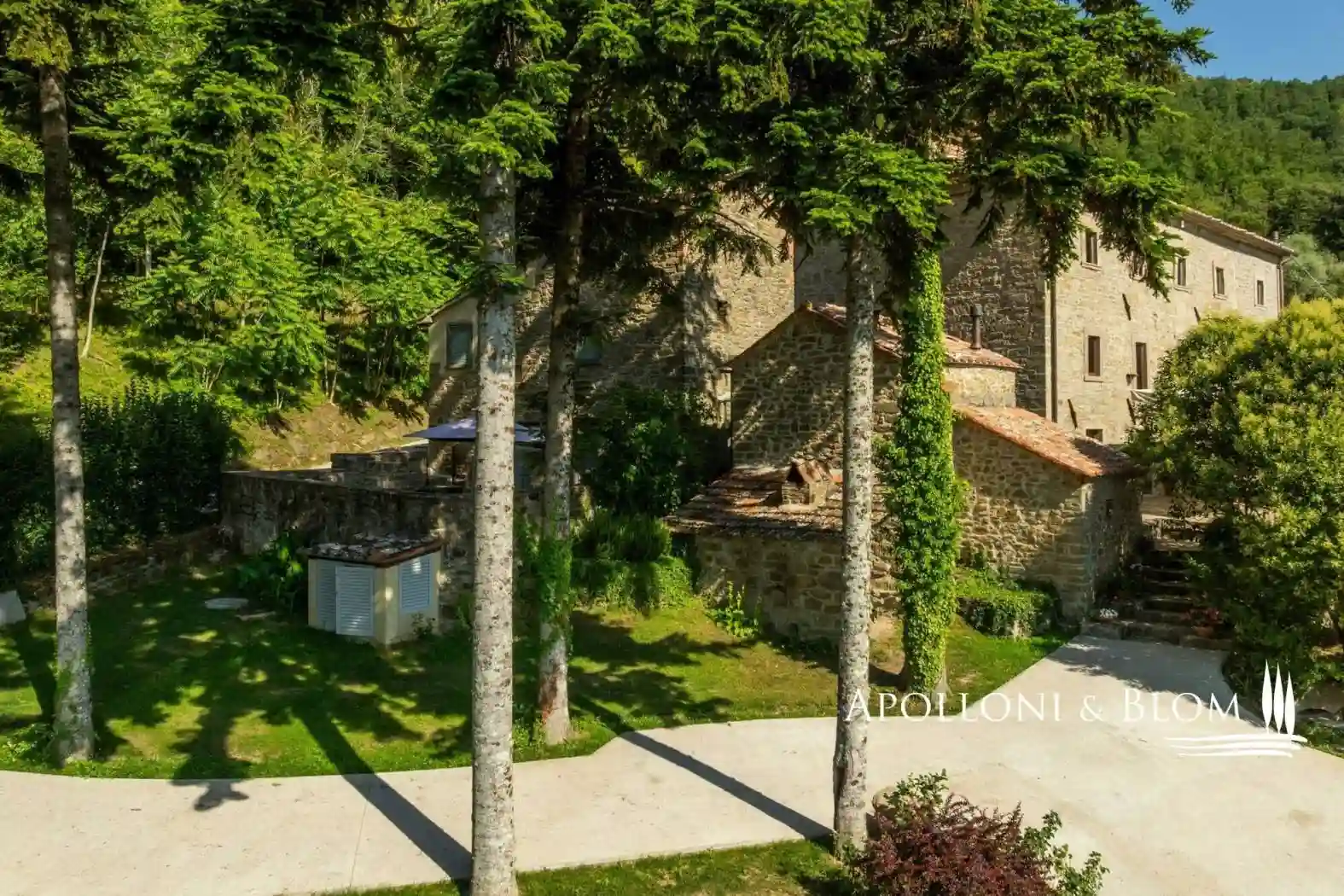 Rustico - Casale - foto 5