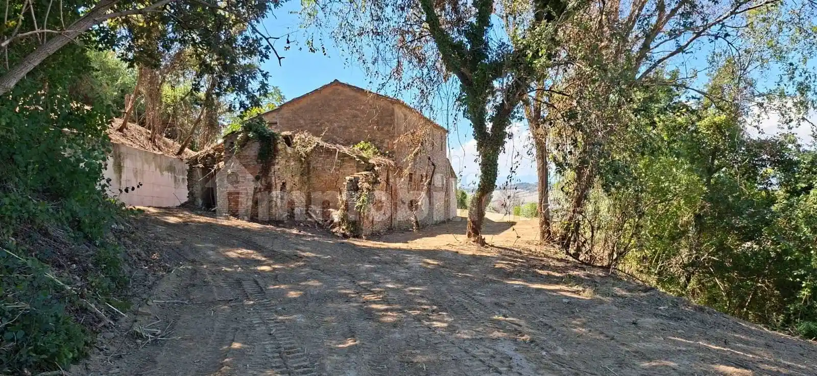 Rustico - Casale in vendita a Offagna
