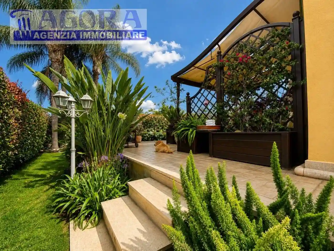Villa - foto 3