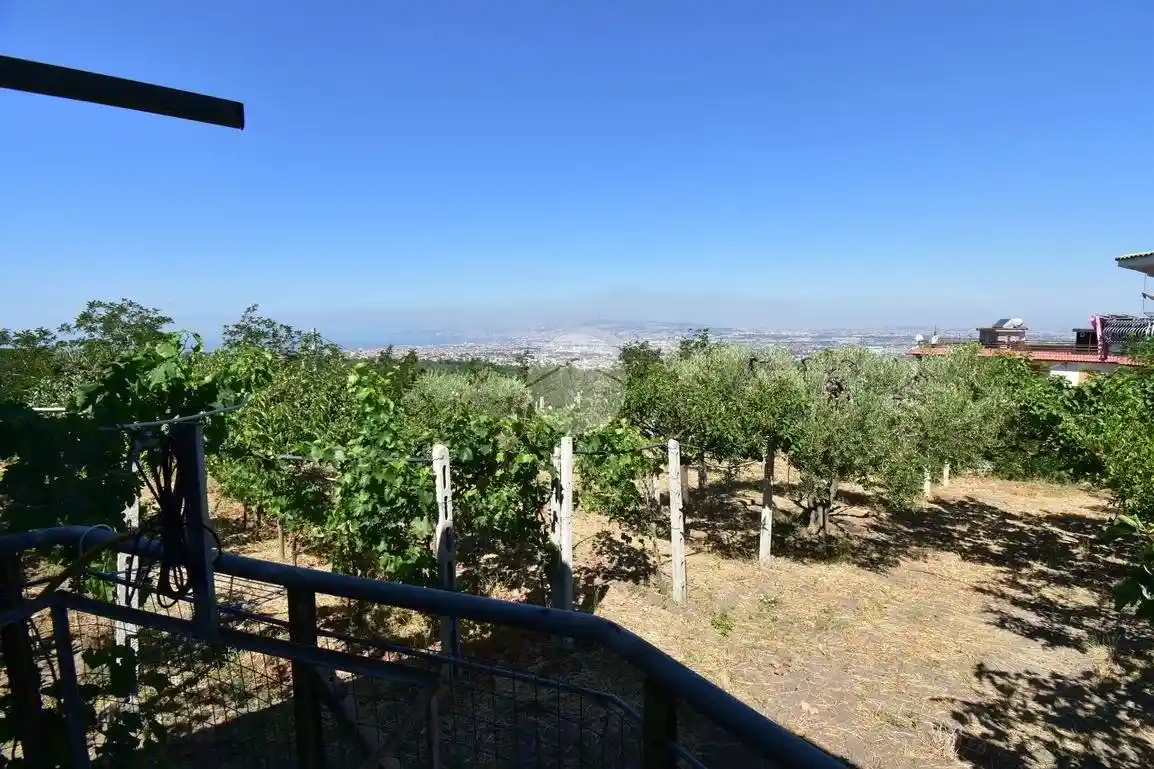 Appartamento in vendita a Pollena Trocchia