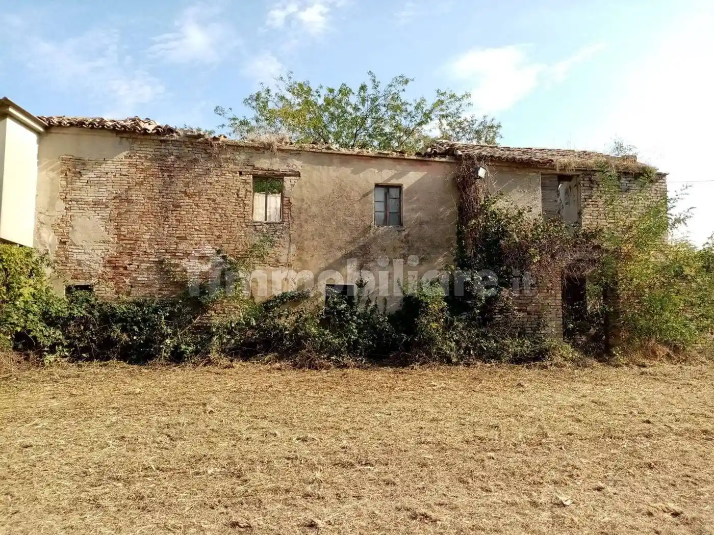 Rustico - Casale in vendita a San Costanzo
