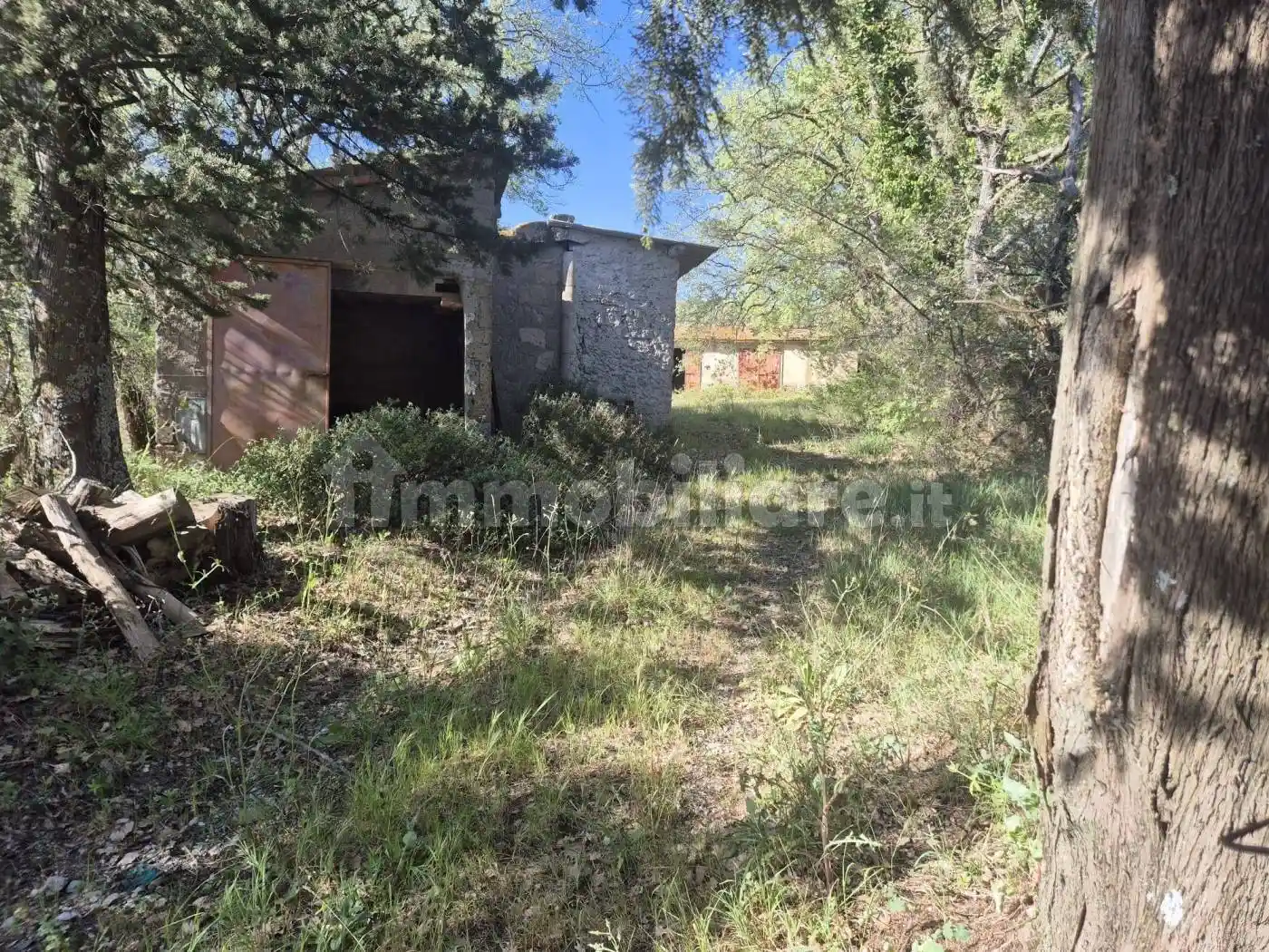Rustico - Casale in vendita a Cinigiano