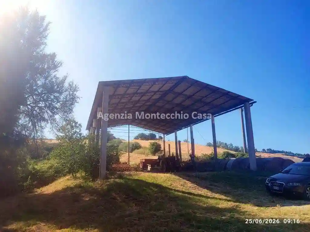 Rustico - Casale - foto 4