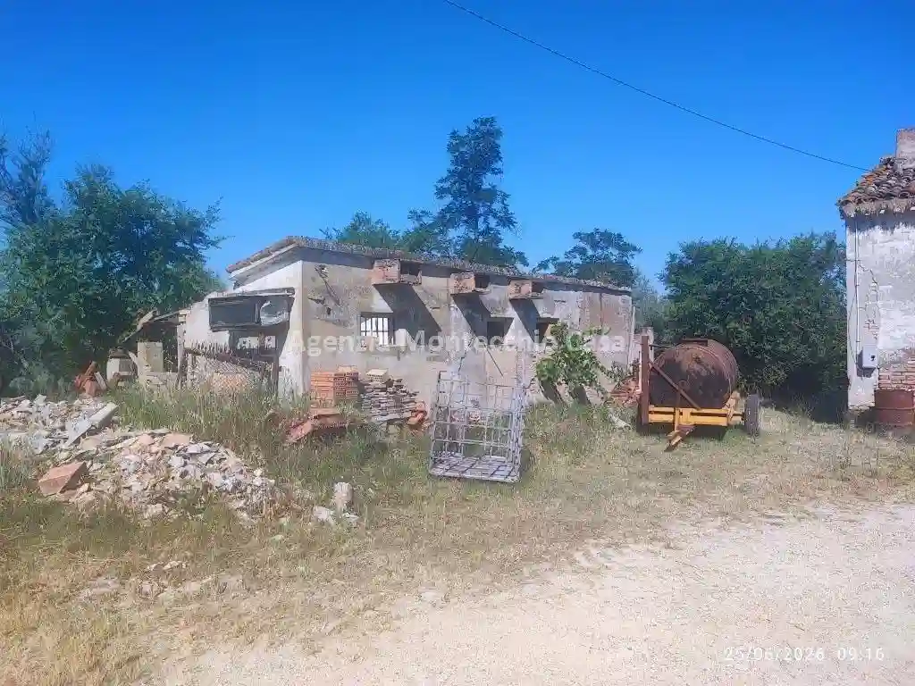 Rustico - Casale - foto 5