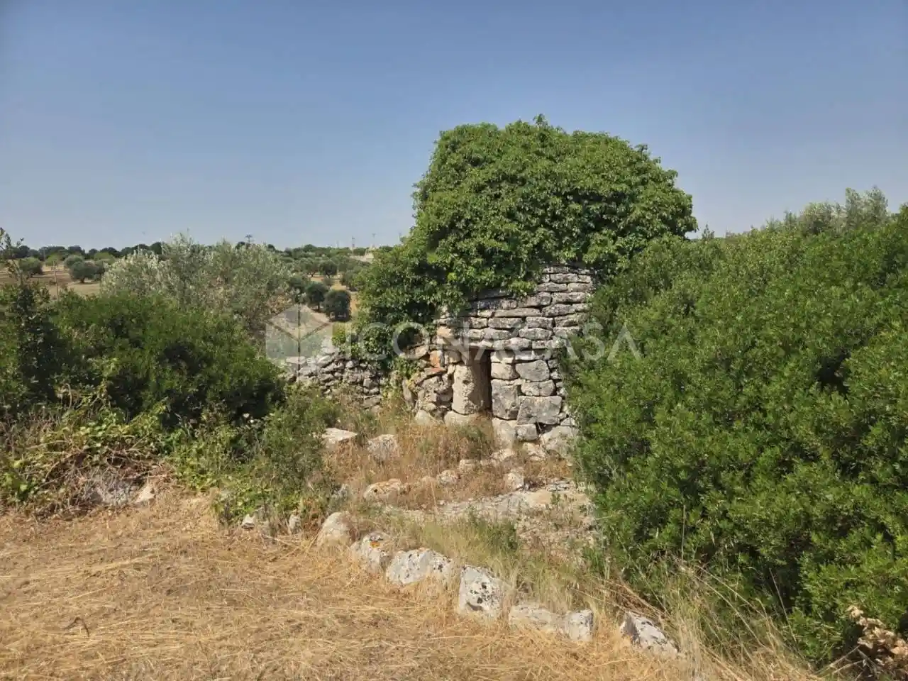 Rustico - Casale in vendita a Cisternino