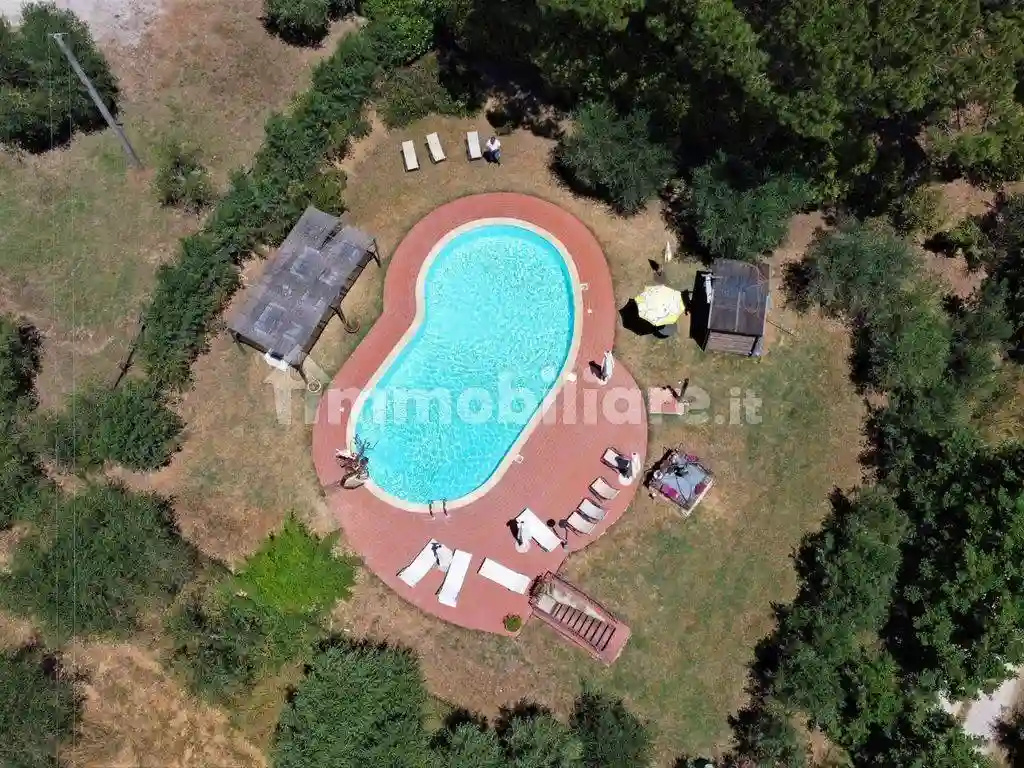 Rustico - Casale - foto 5