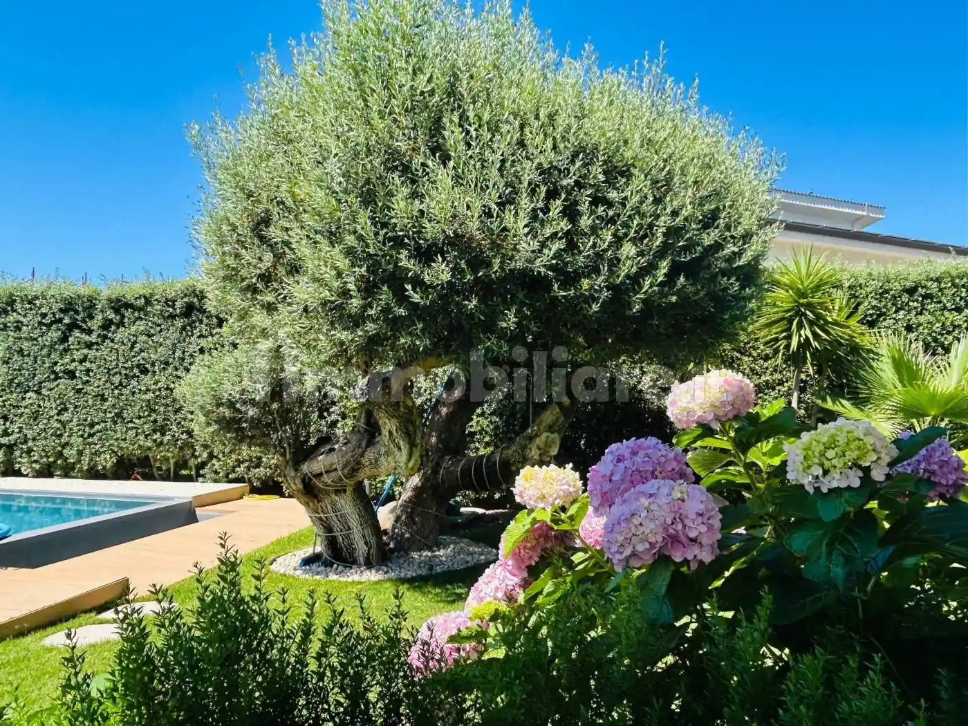 Villa in vendita a Altavilla Milicia