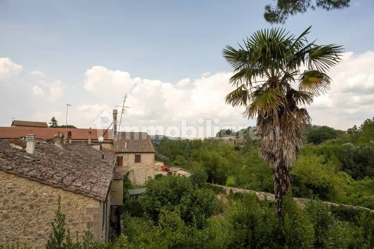 Casa indipendente in vendita a Asciano