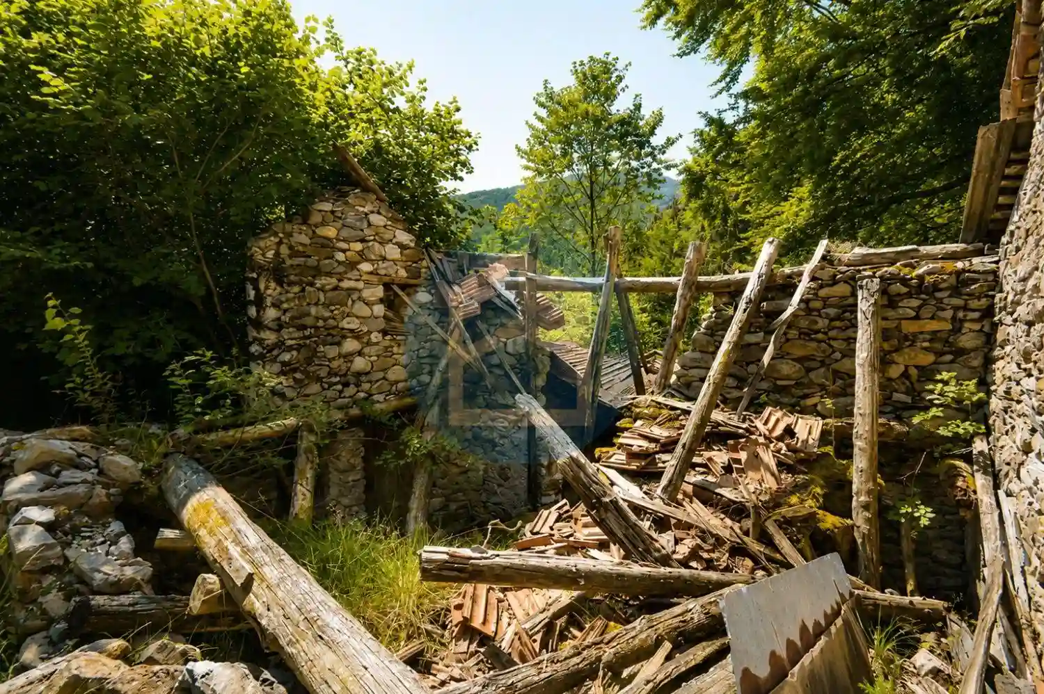 Rustico - Casale - foto 4