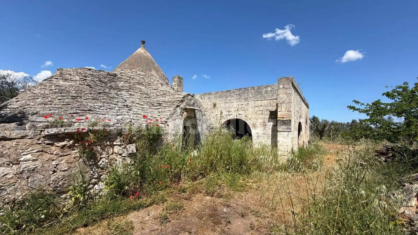 Rustico - Casale in vendita a Francavilla Fontana