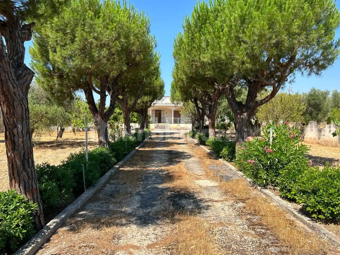 Villa in vendita a Grottaglie