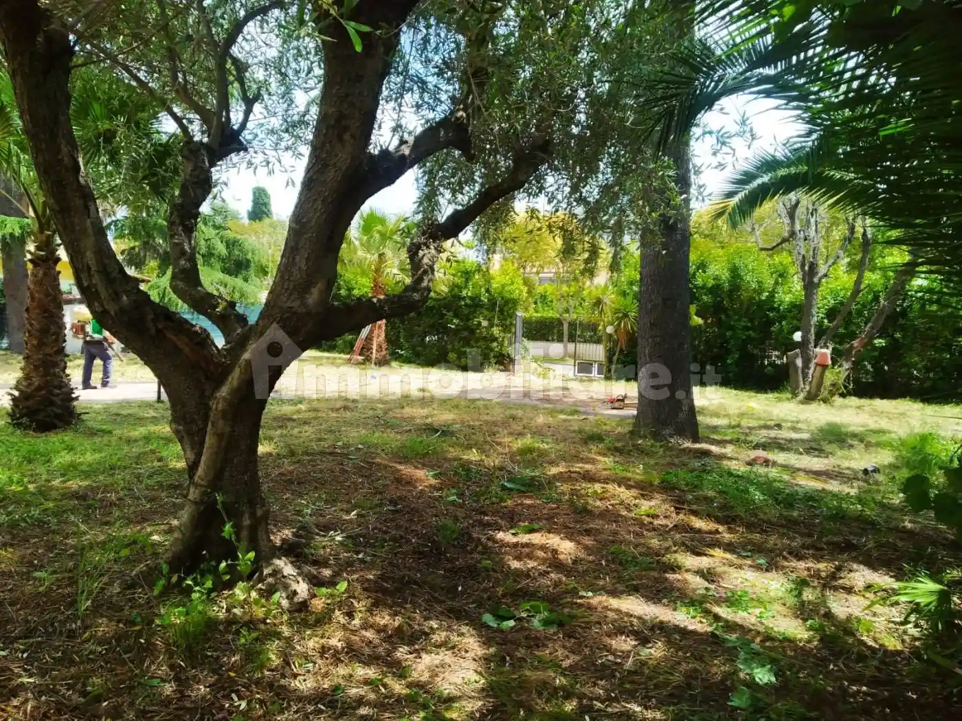 Villa in vendita a Roma