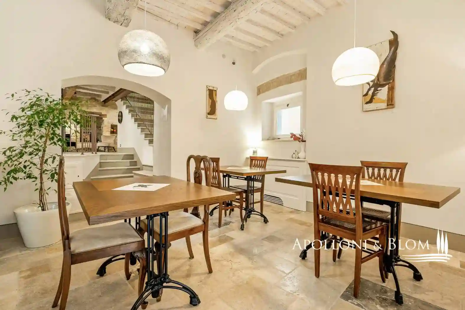 Villa - foto 4
