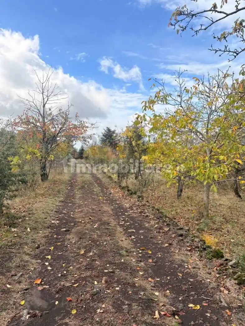 Rustico - Casale in vendita a Belpasso