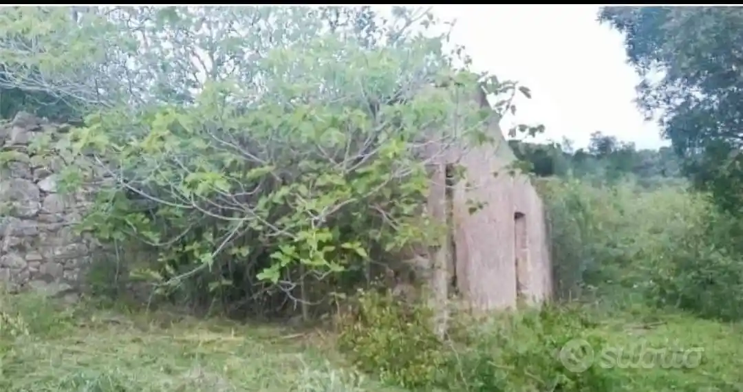 Rustico - Casale in vendita a Rio