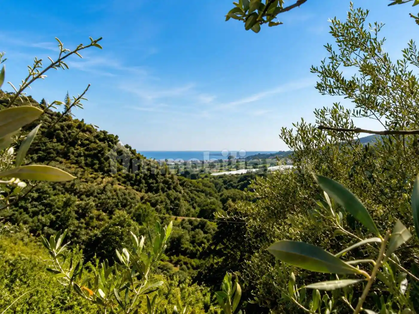 Rustico - Casale in vendita a Piedimonte Etneo