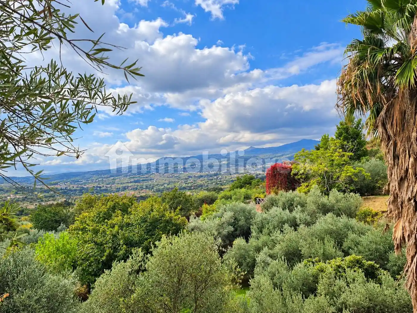 Rustico - Casale in vendita a Piedimonte Etneo