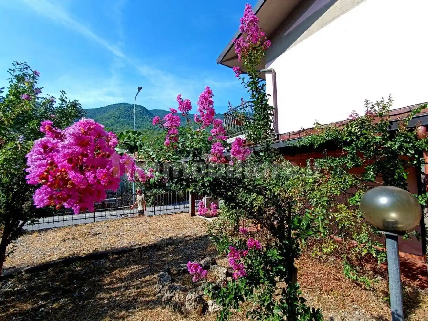 Casa indipendente in vendita a Vagli Sotto