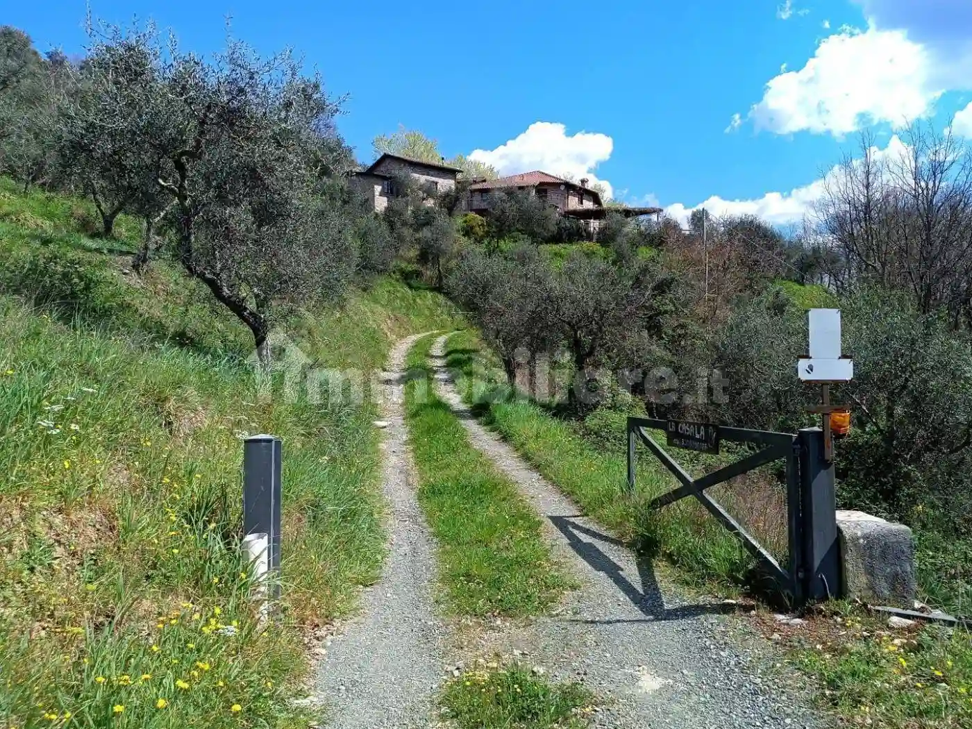 Rustico - Casale - foto 3