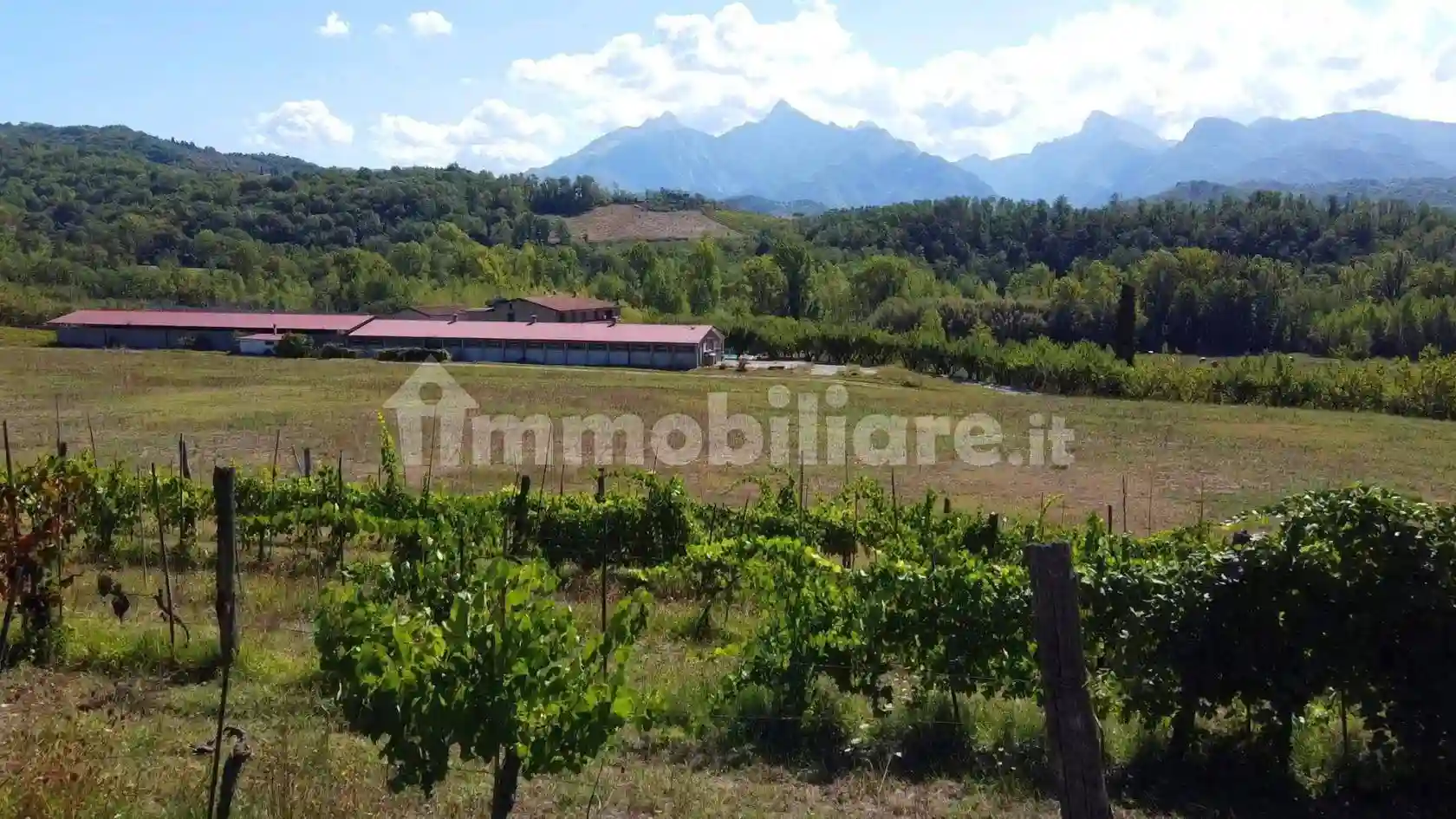 Rustico - Casale - foto 3