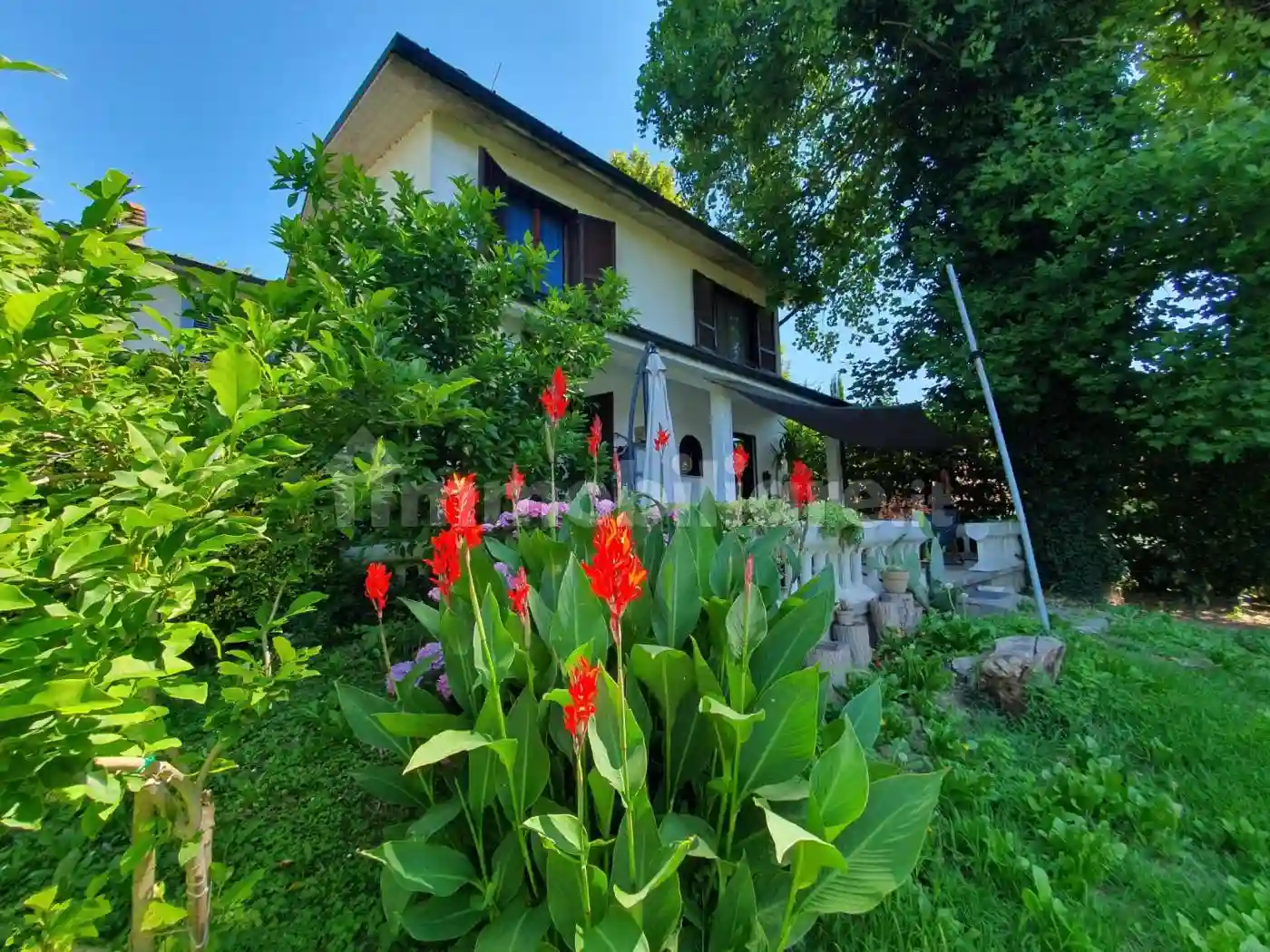 Villa - foto 4
